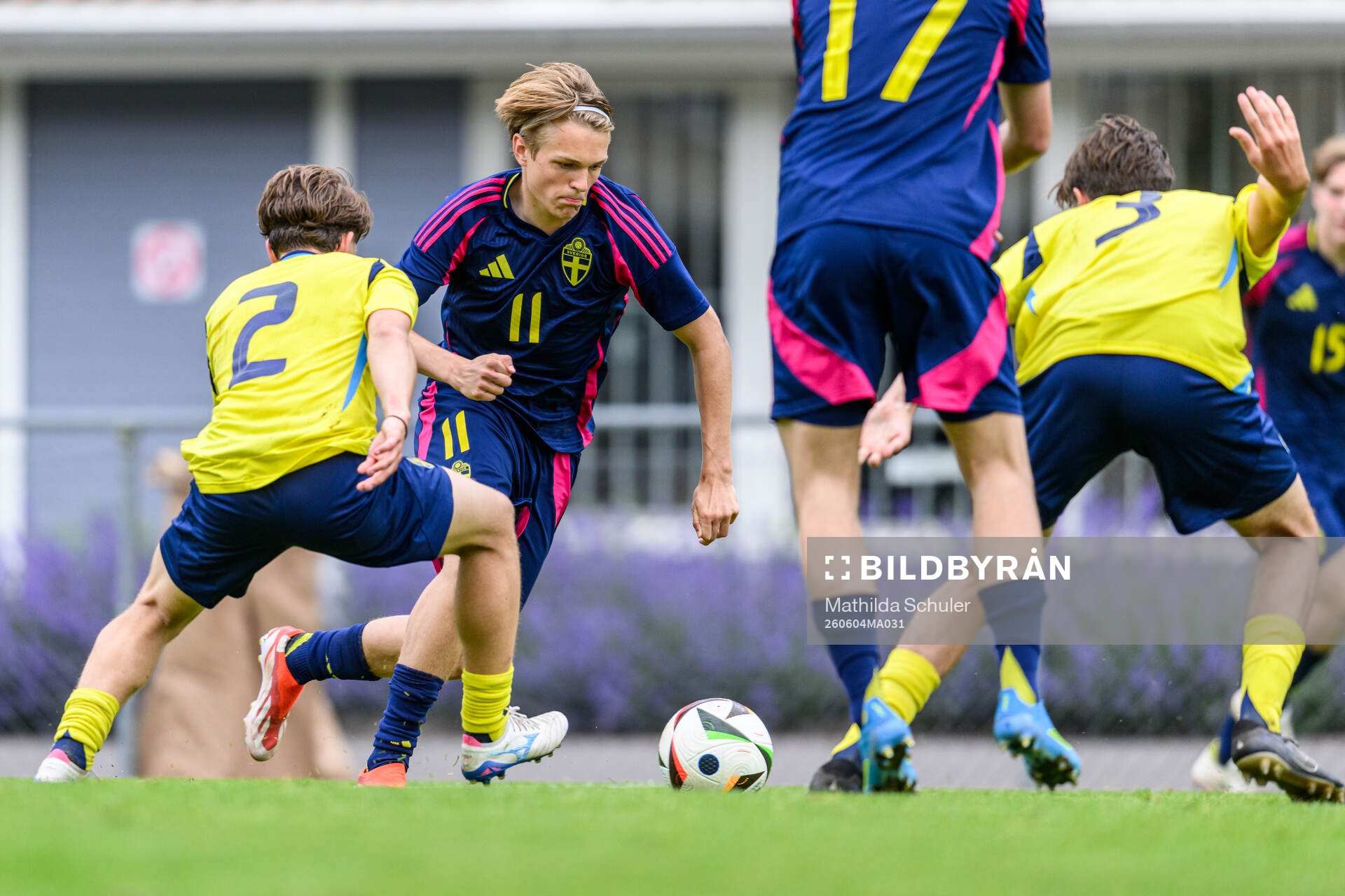 Filip Werner