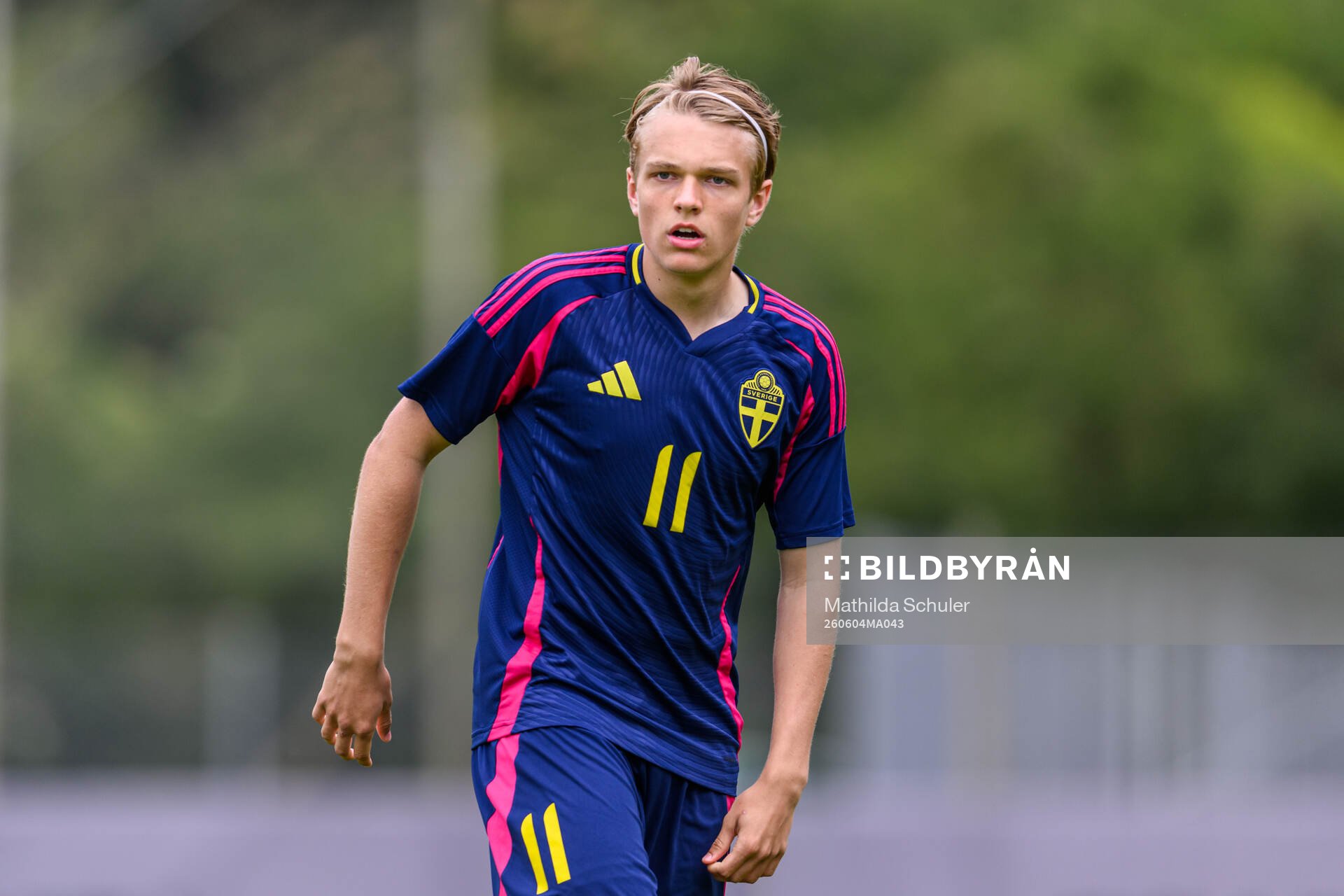 Filip Werner