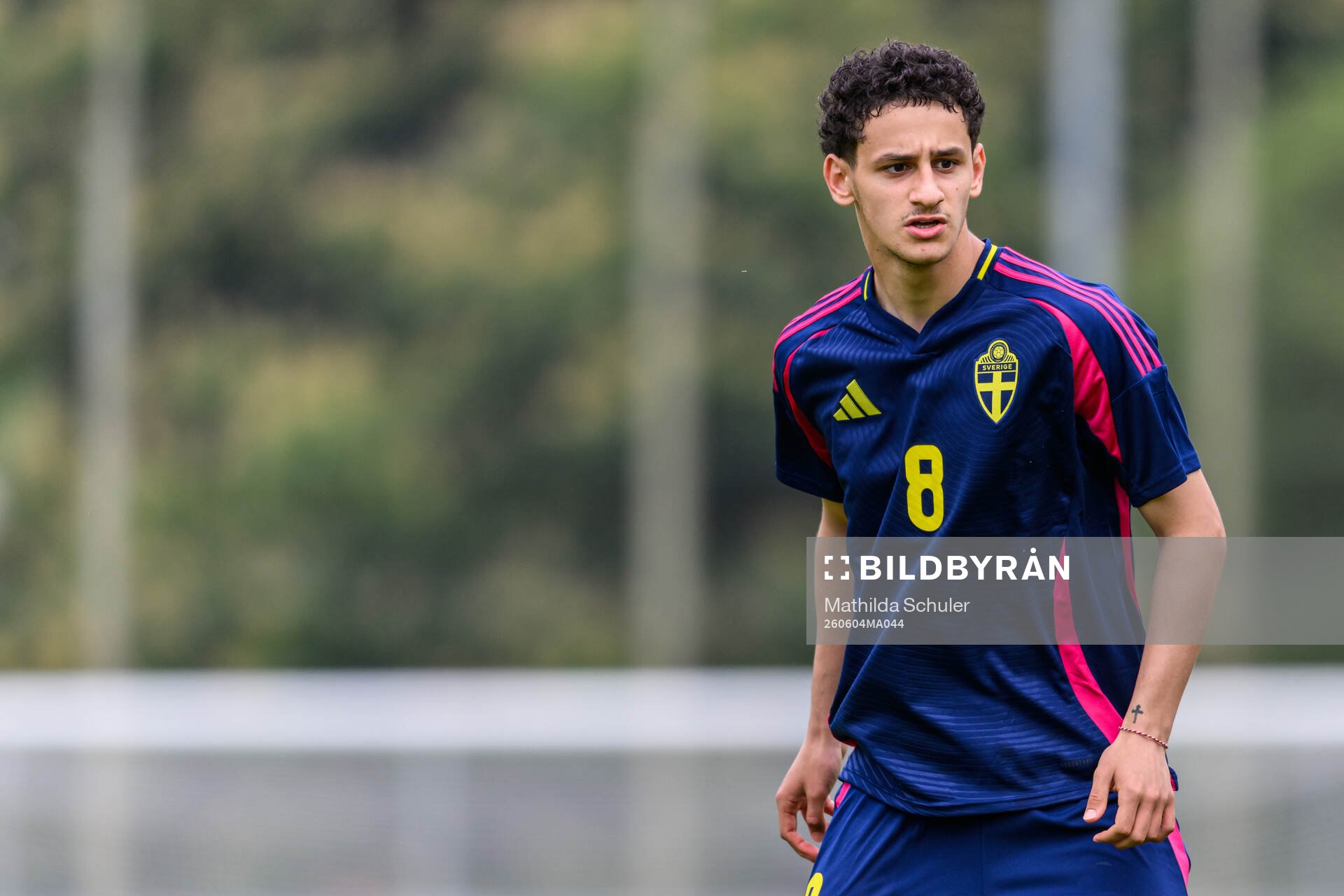 David Malki