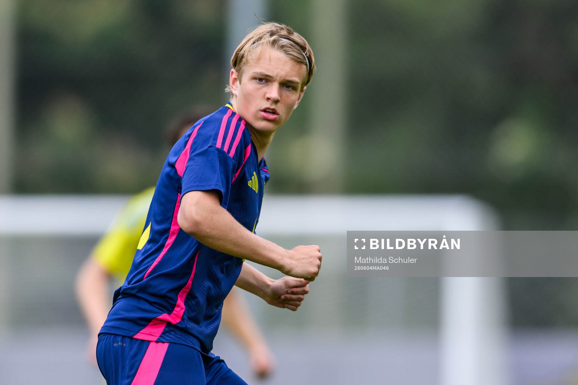 Filip Werner