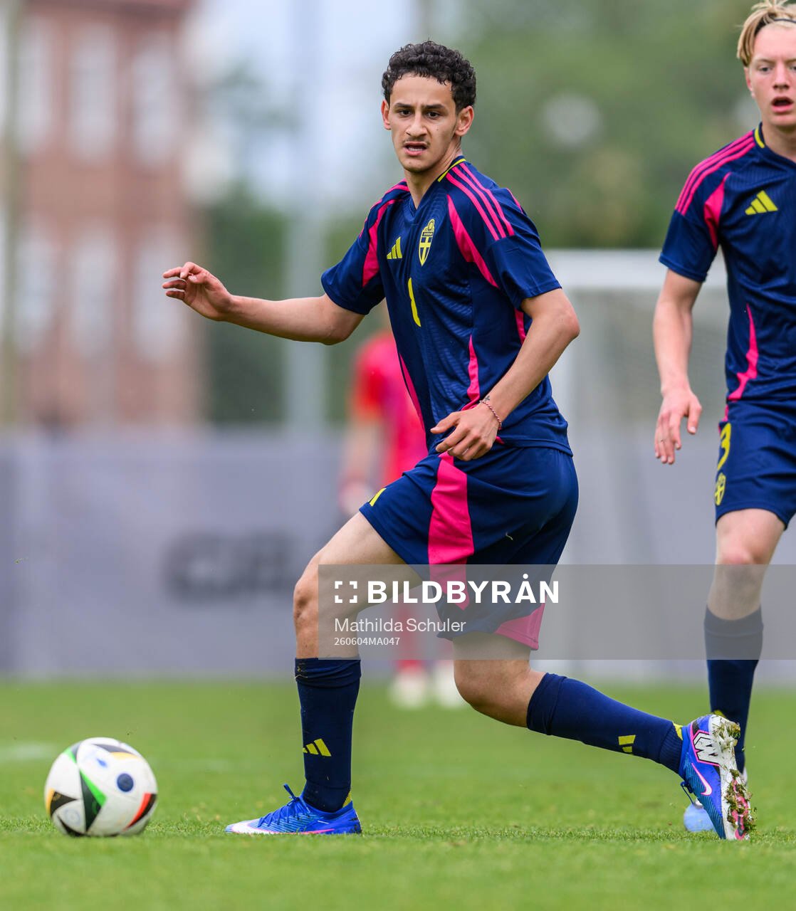 David Malki