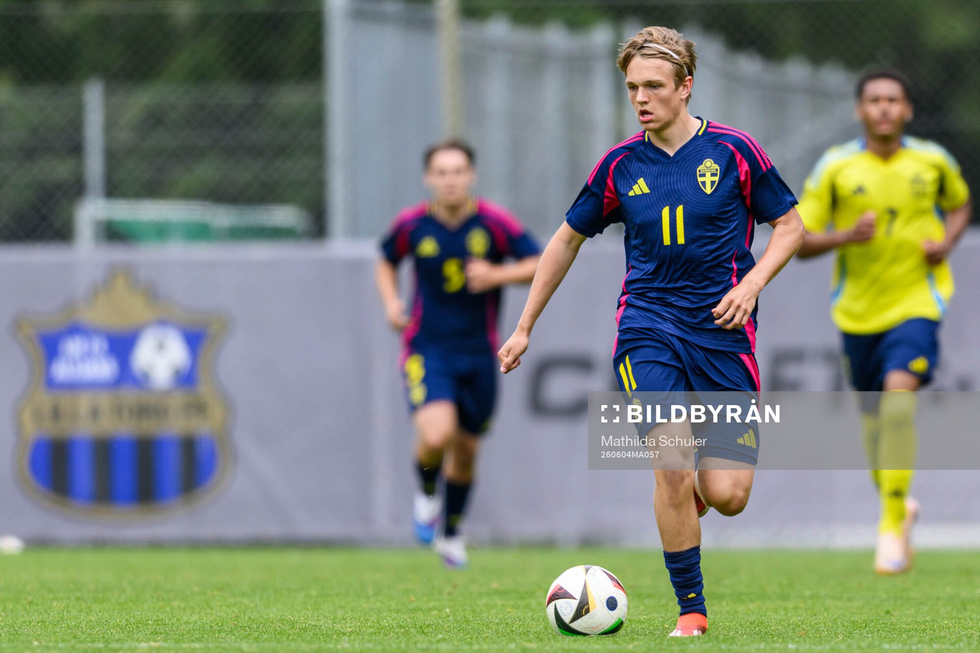 Filip Werner