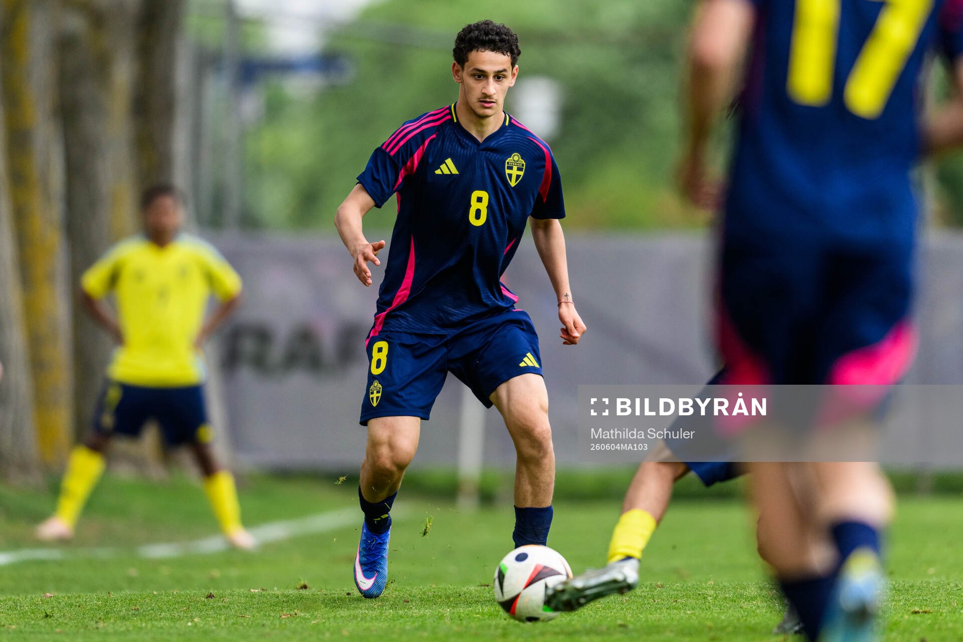 David Malki