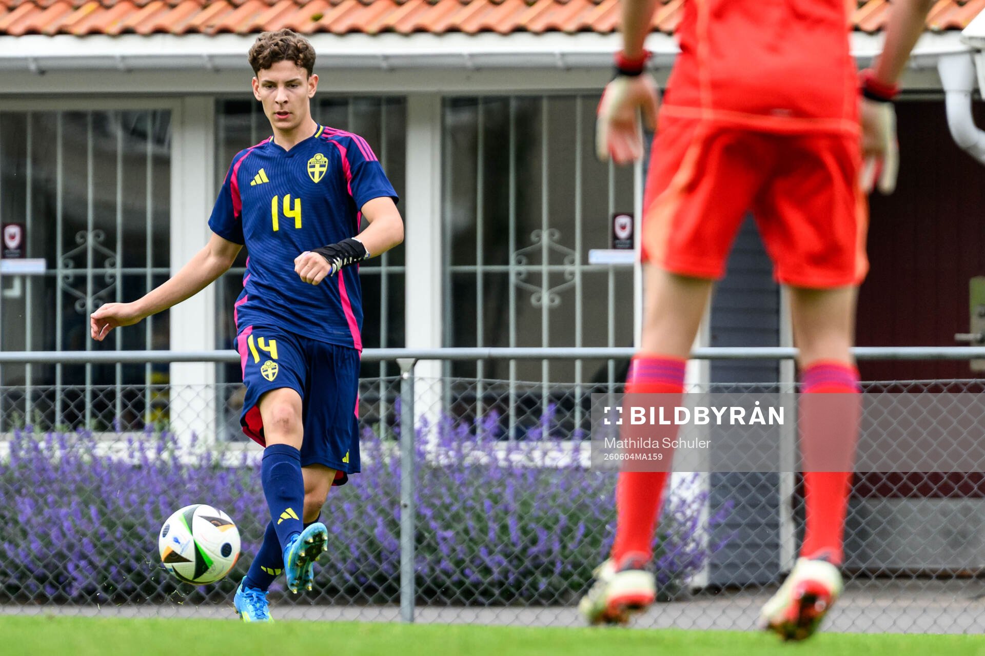 Lino Wernberg Hyppänen