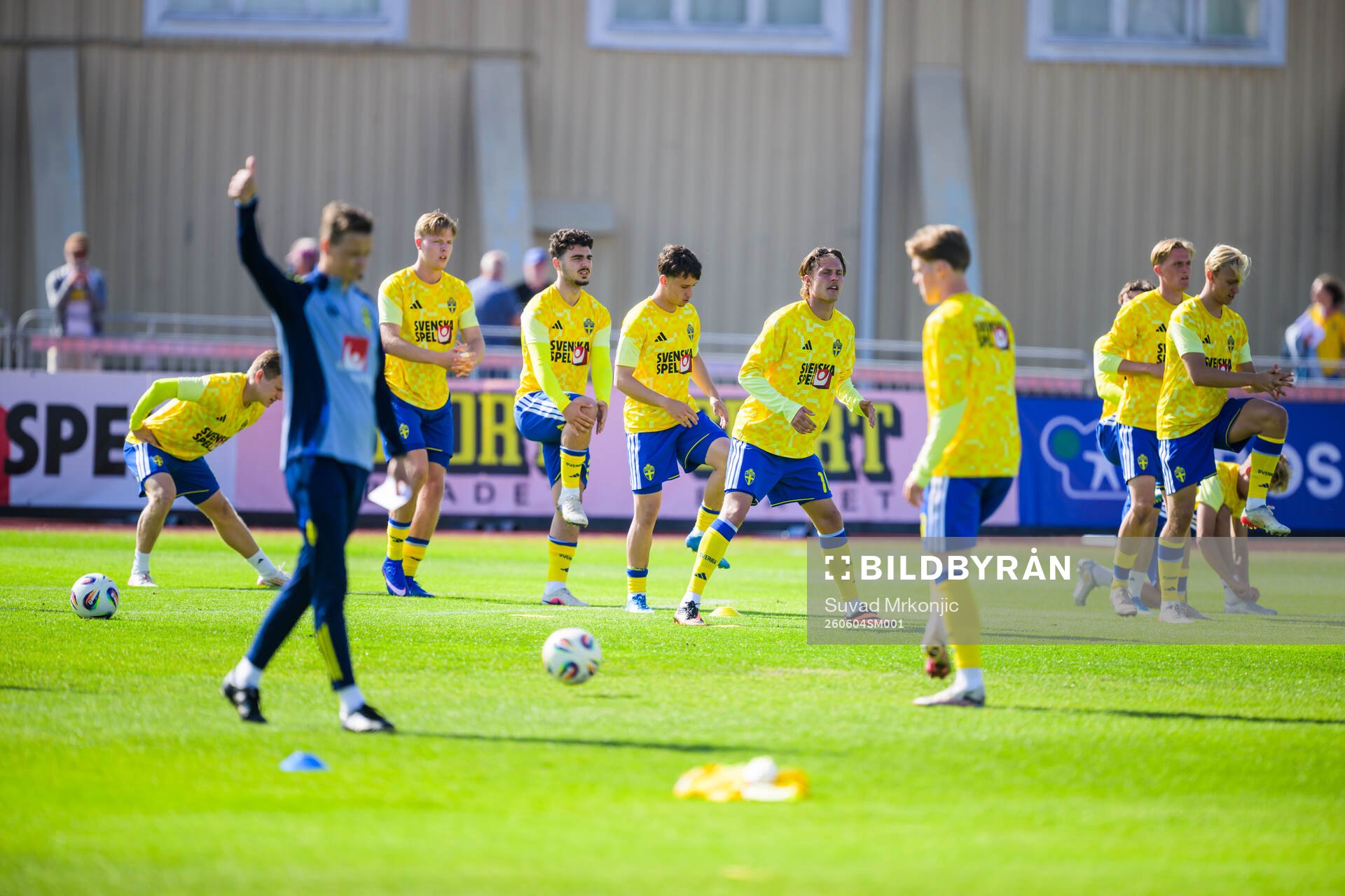 Players of Sweden