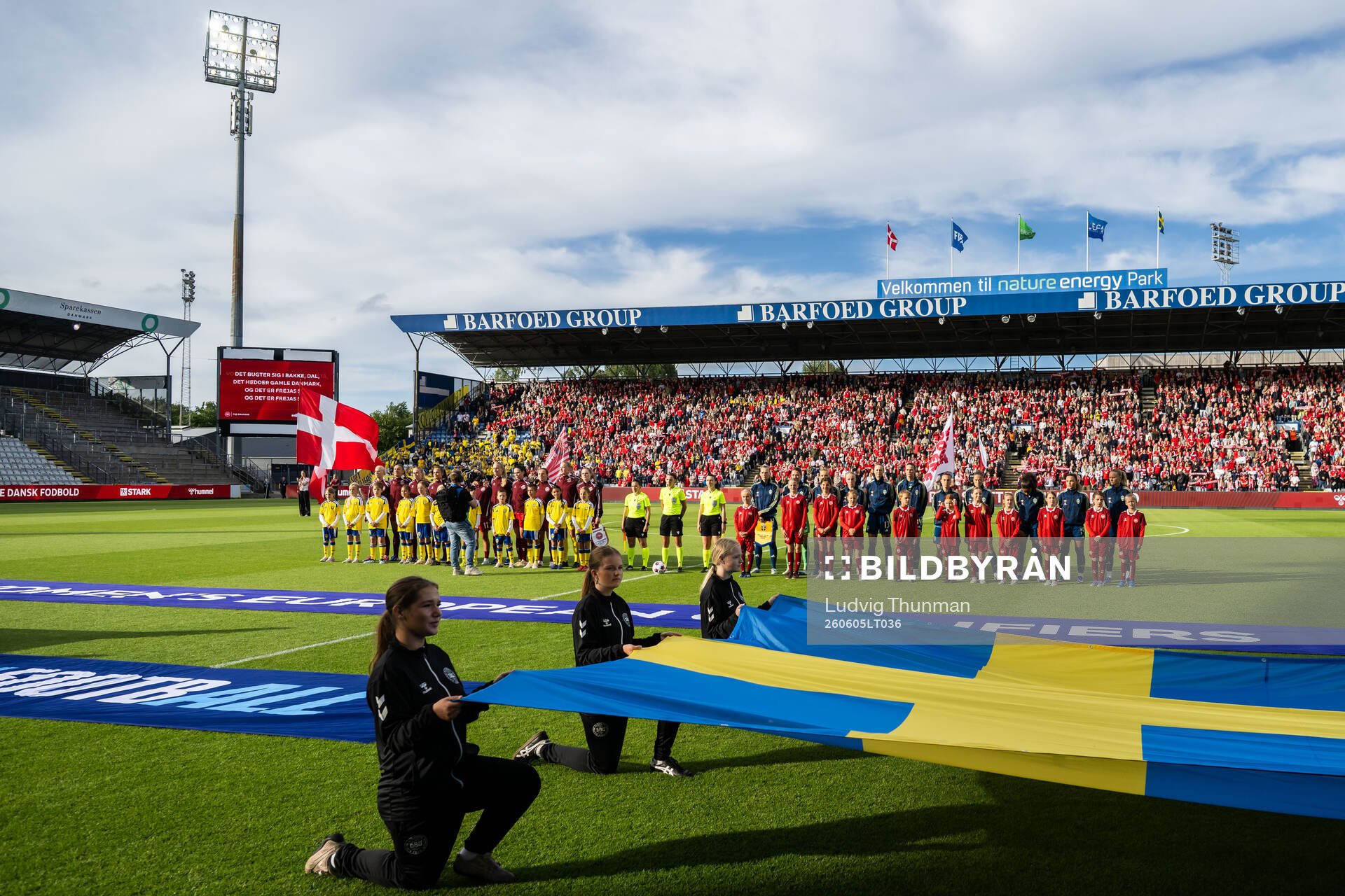 Players of Denmark and of Sweden