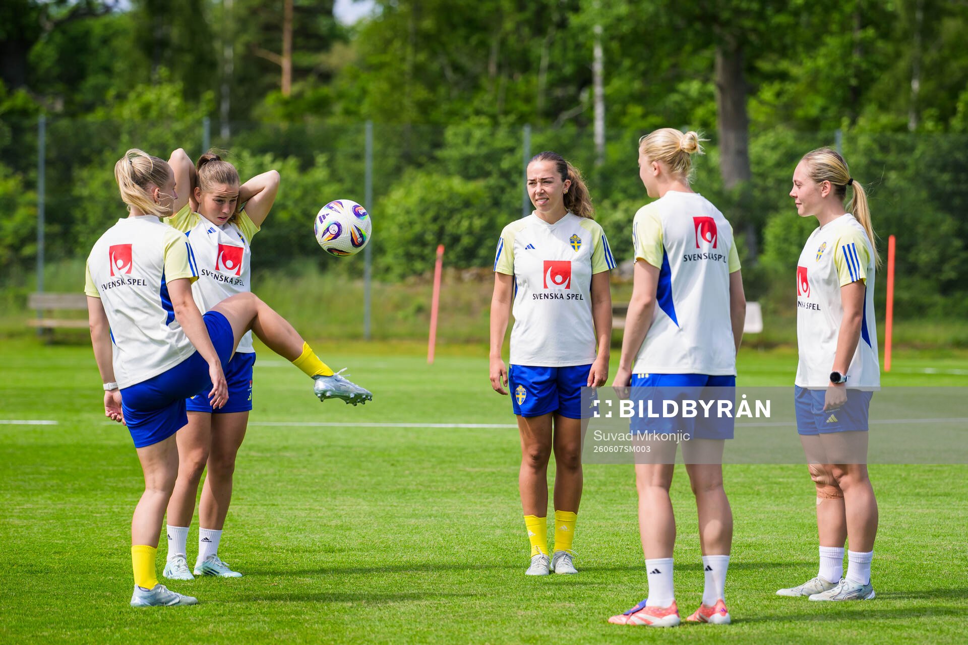 Players of Sweden