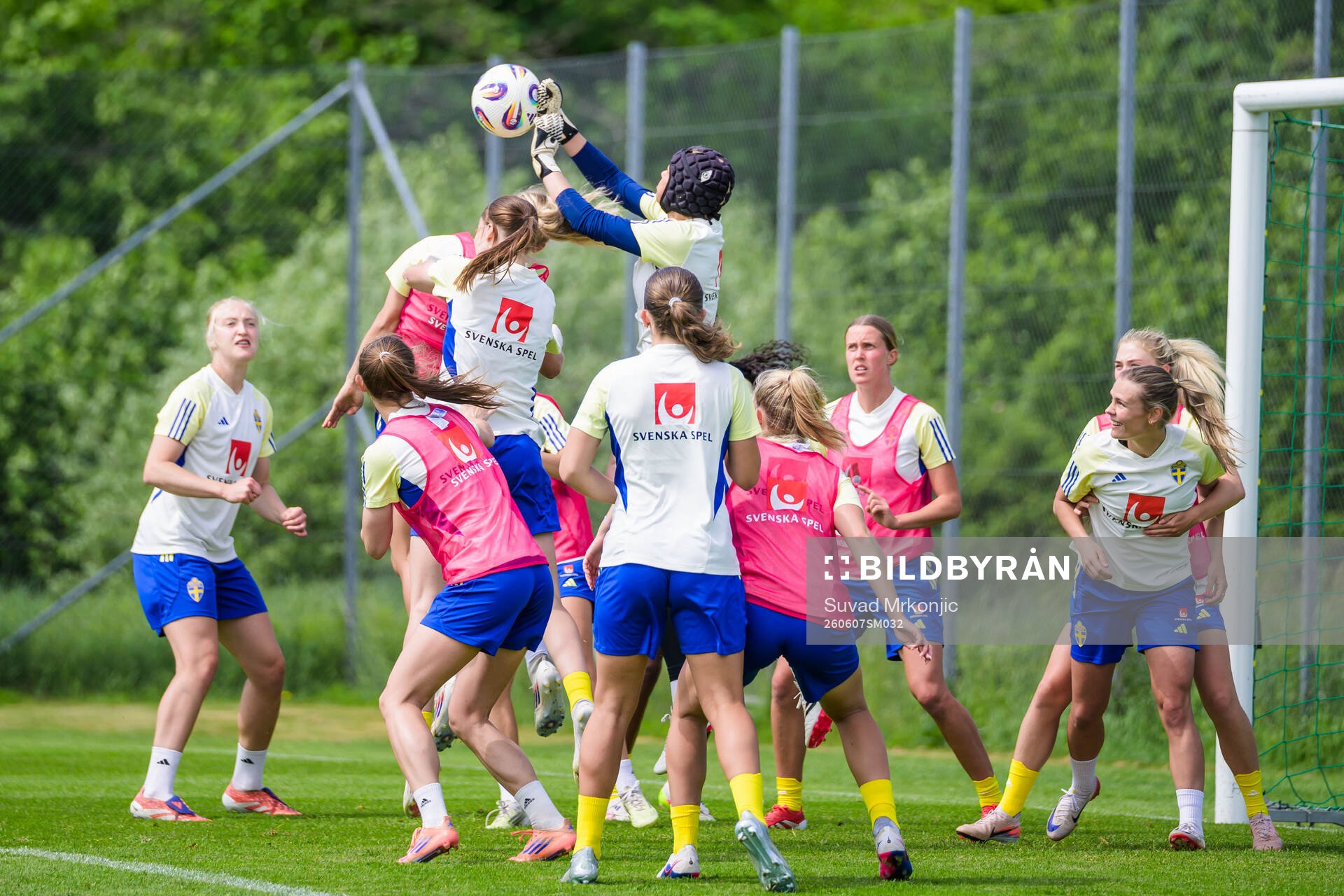 Players of Sweden