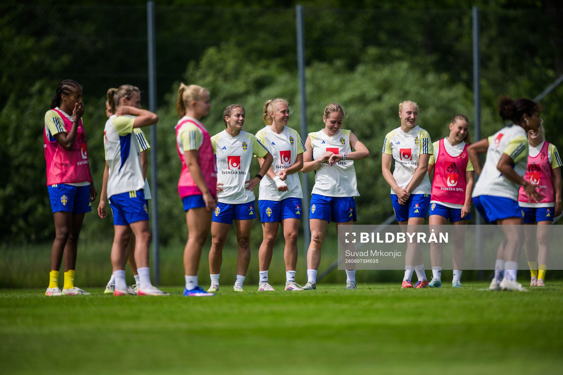 Players of Sweden