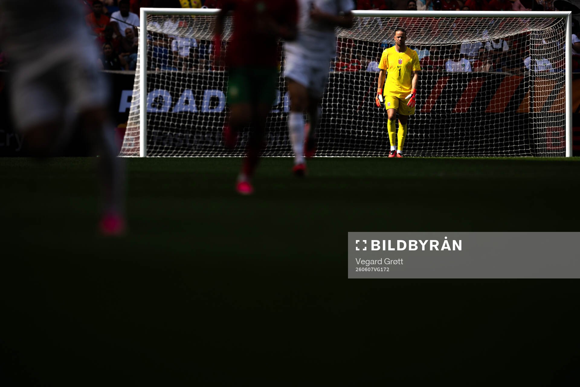 Goalkeeper Ørjan Håskjold Nyland of Norway
