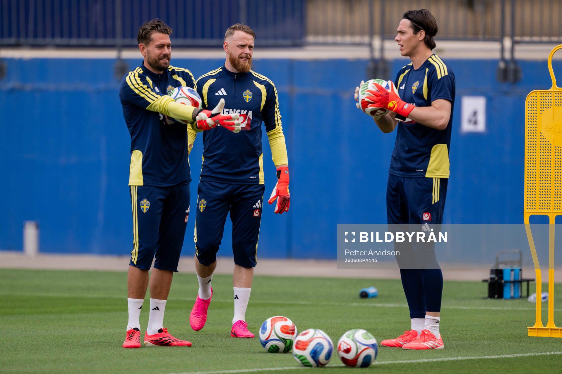 Goalkeeper Kristoffer Nordfeldt, goalkeeper Viktor