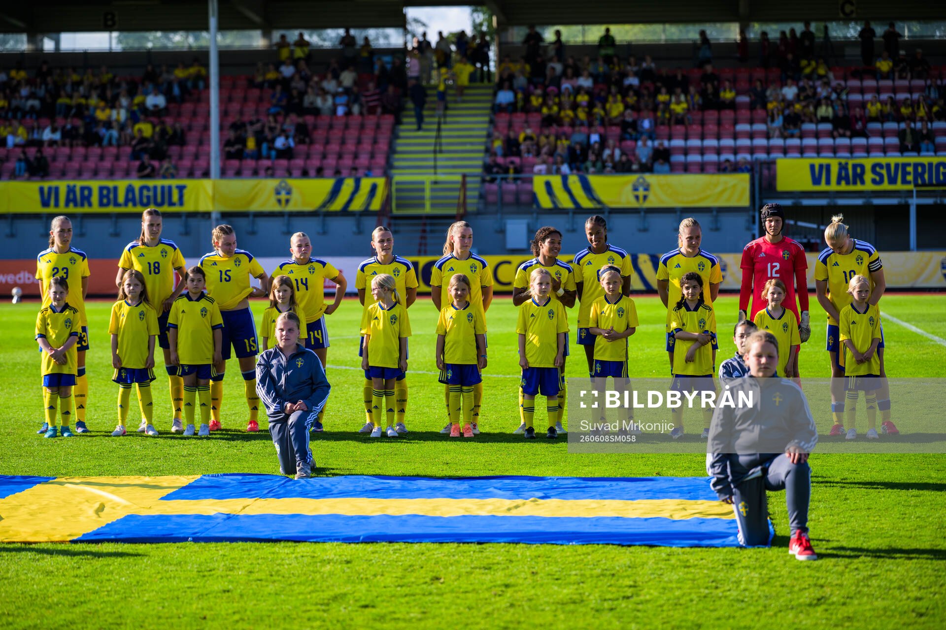 Players of Sweden