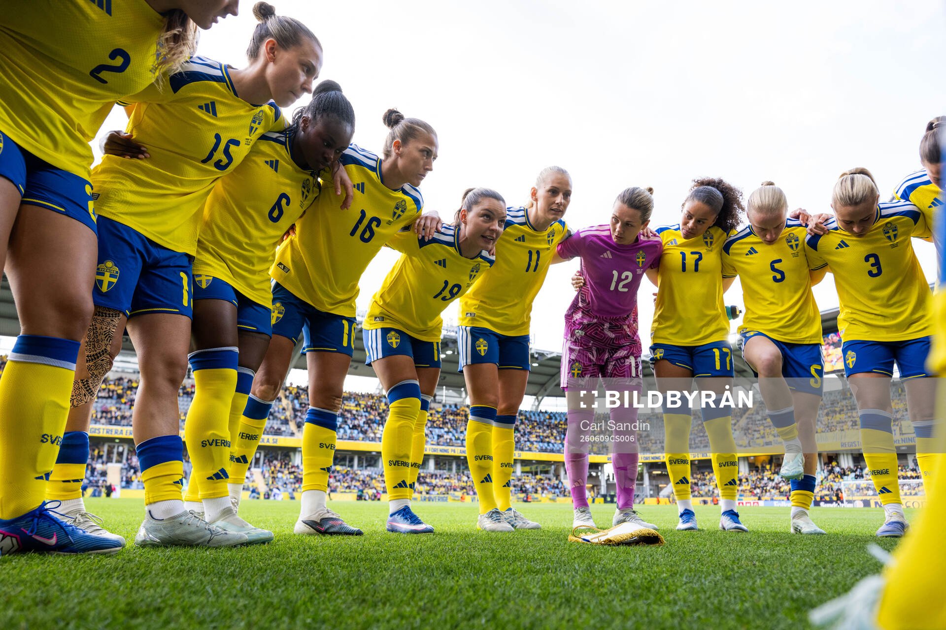 Players of Sweden
