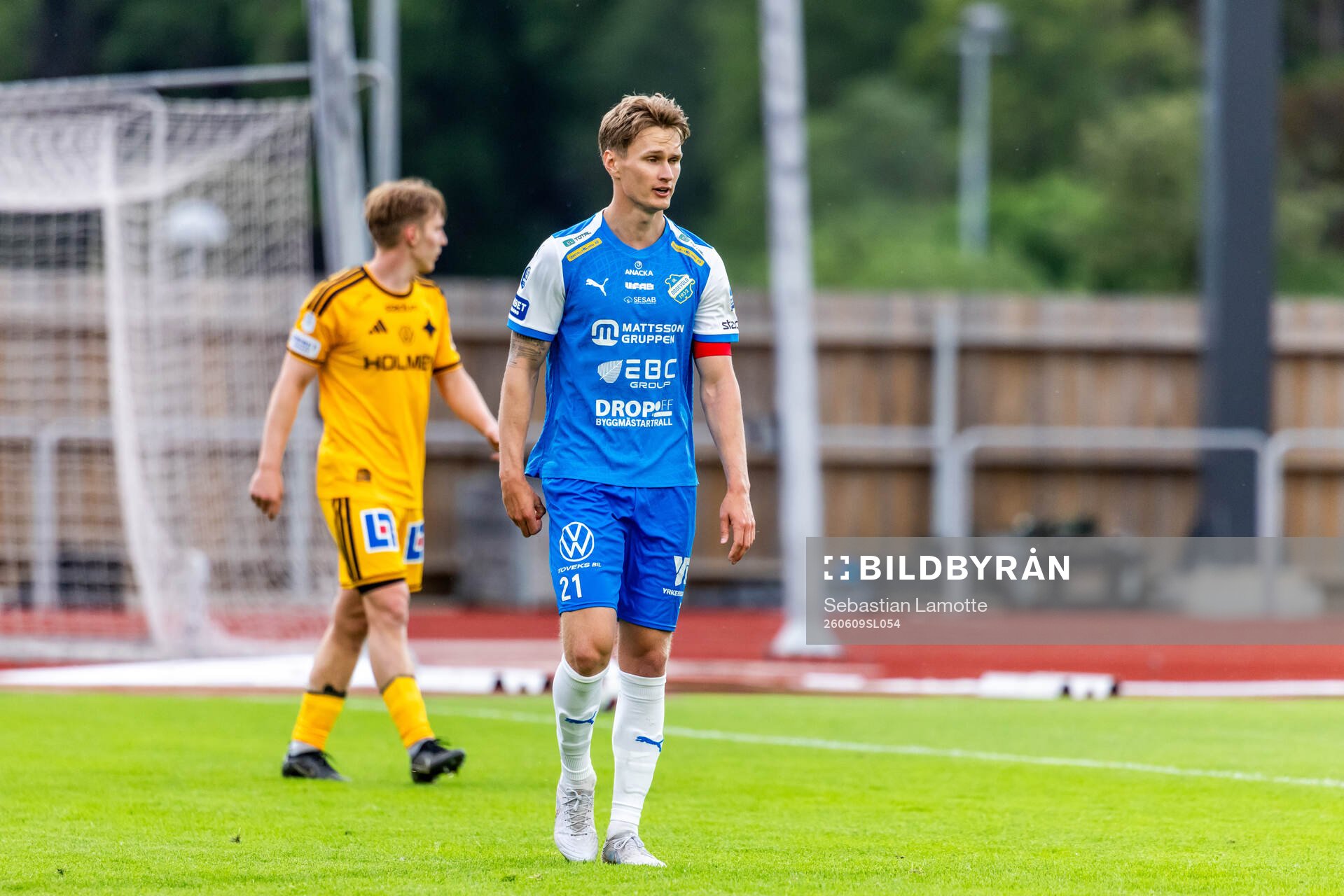 Oddevolds Alexander Almqvist