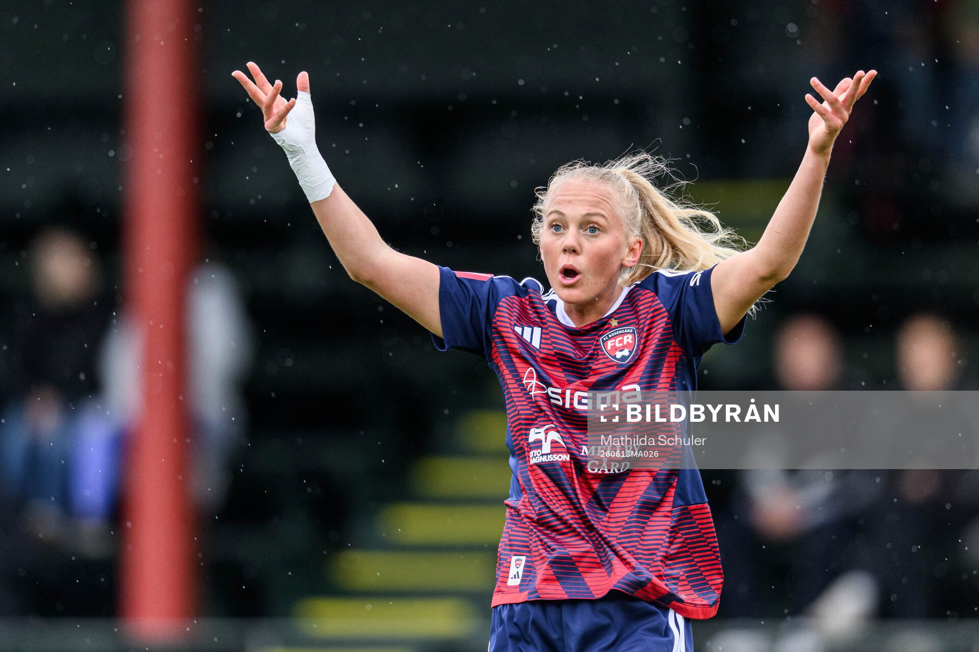 Rosengårds Molly Johansson