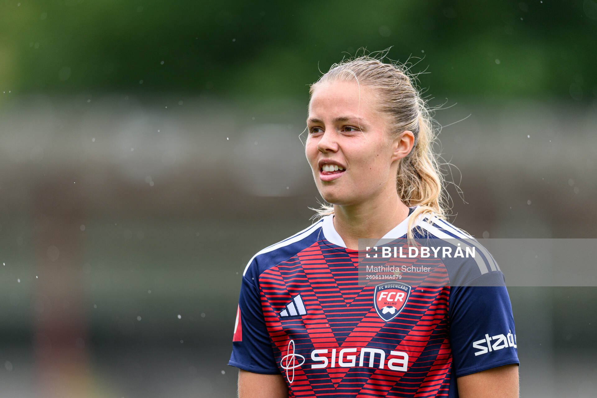 Rosengårds Tilde Björklund