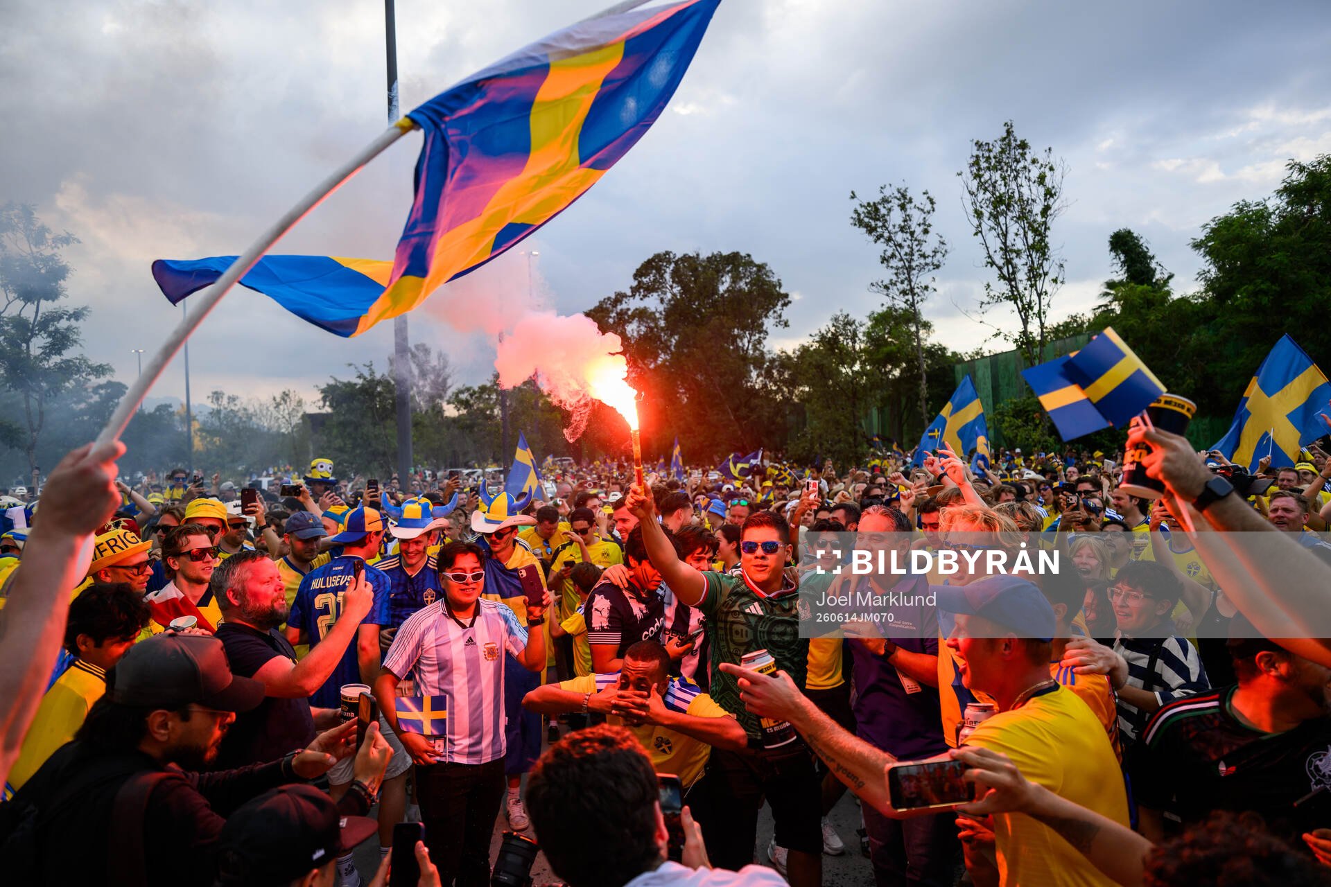 Fans of Sweden