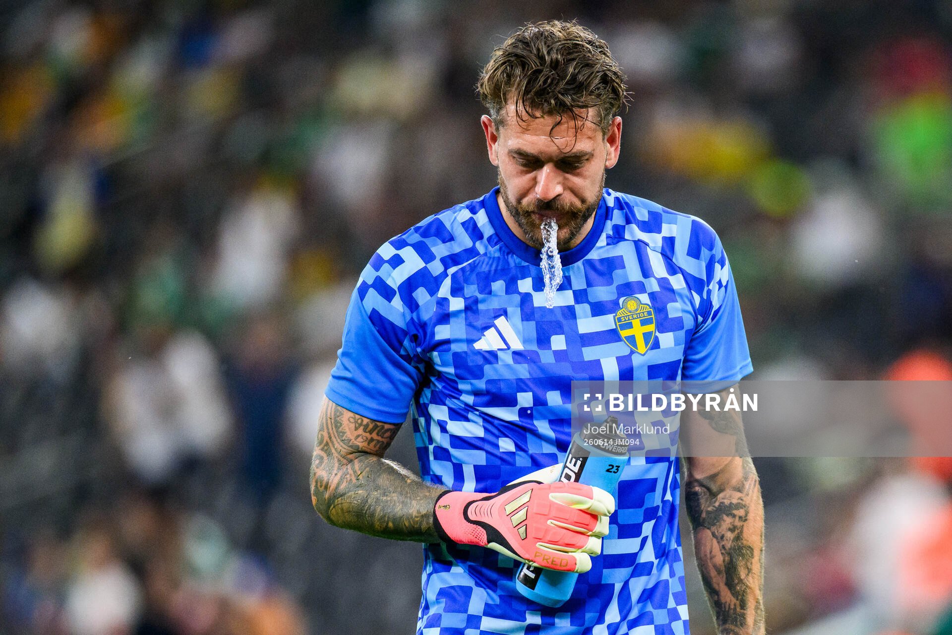 goalkeeper Kristoffer Nordfeldt of Sweden