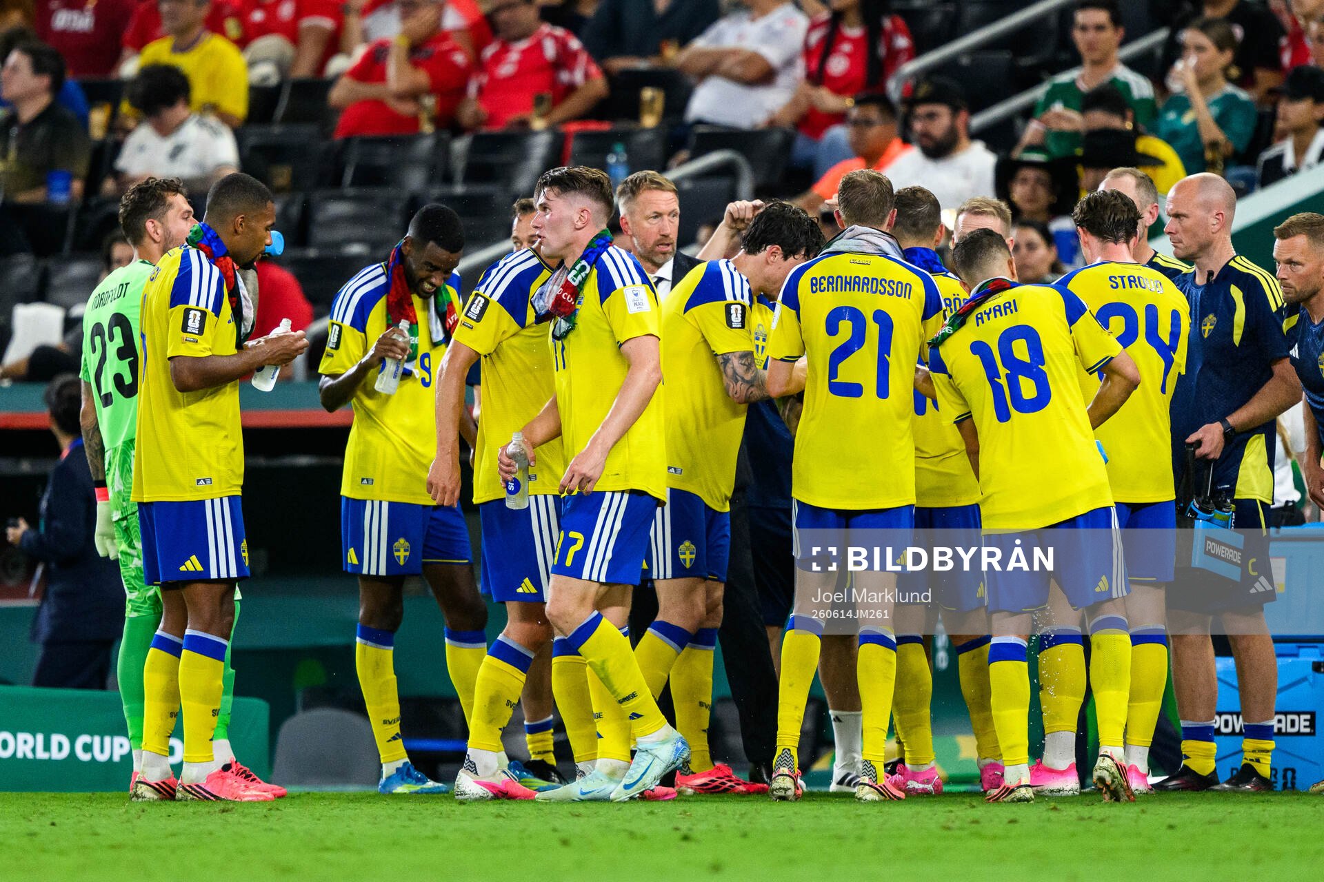 Players of Sweden