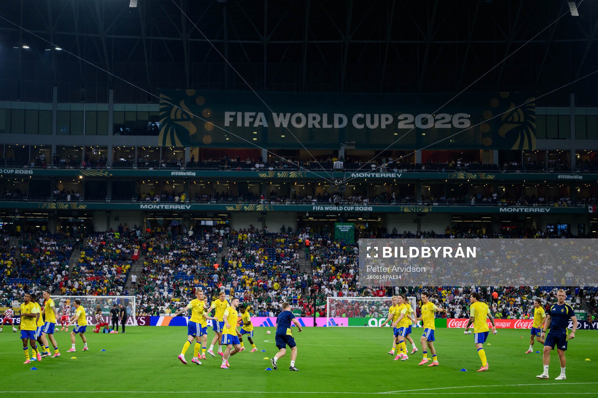 Players of Sweden