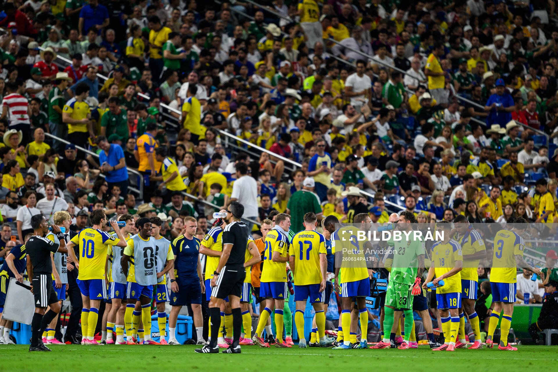 Players of Sweden