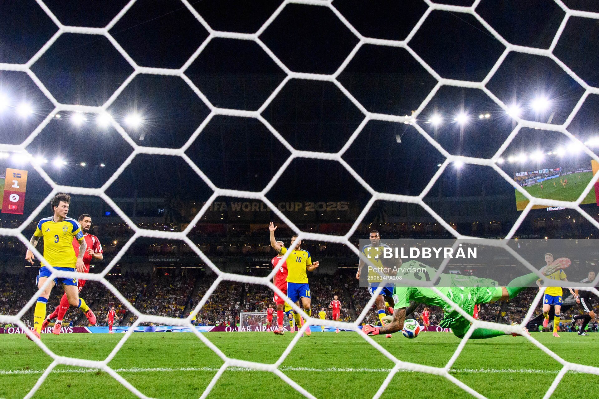 goalkeeper Kristoffer Nordfeldt of Sweden