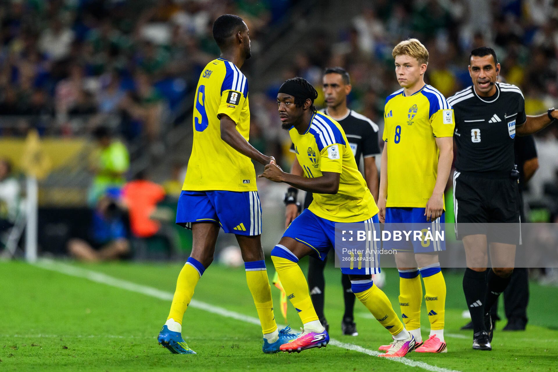 Alexander Isak and Anthony Elanga of Sweden
