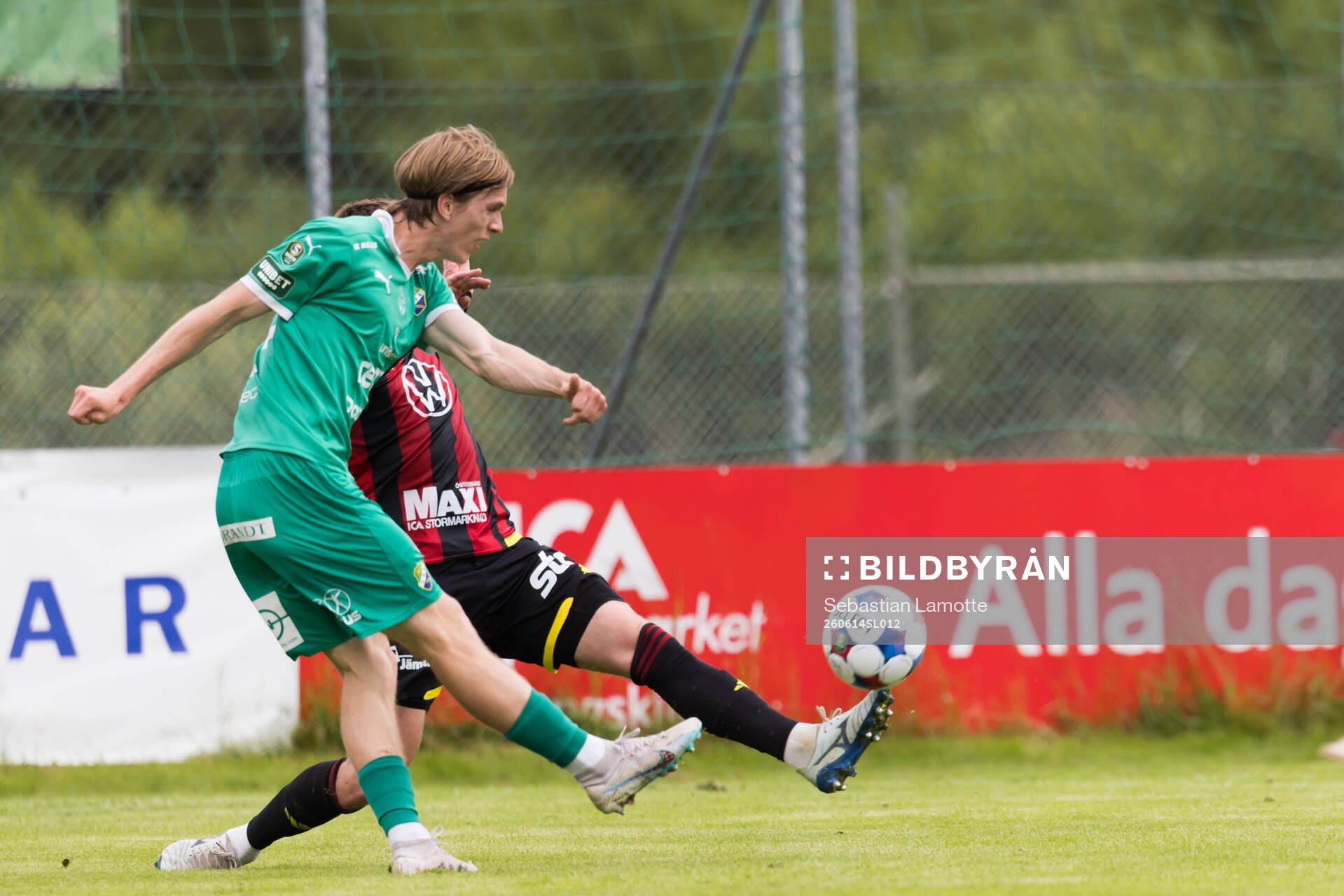 Ljungskiles David Frisk
