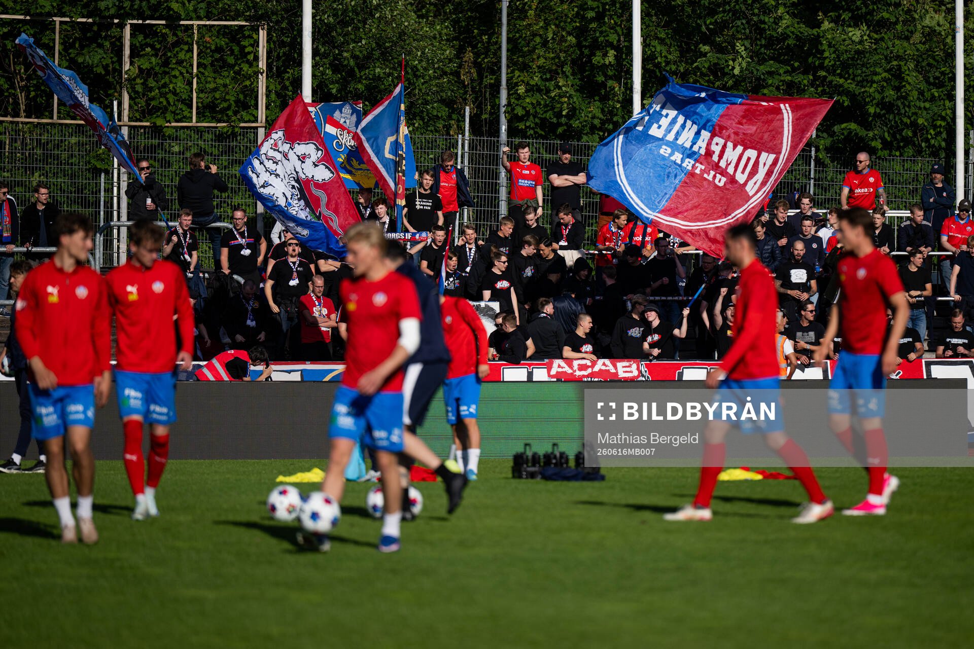 Helsingborgs supportrar