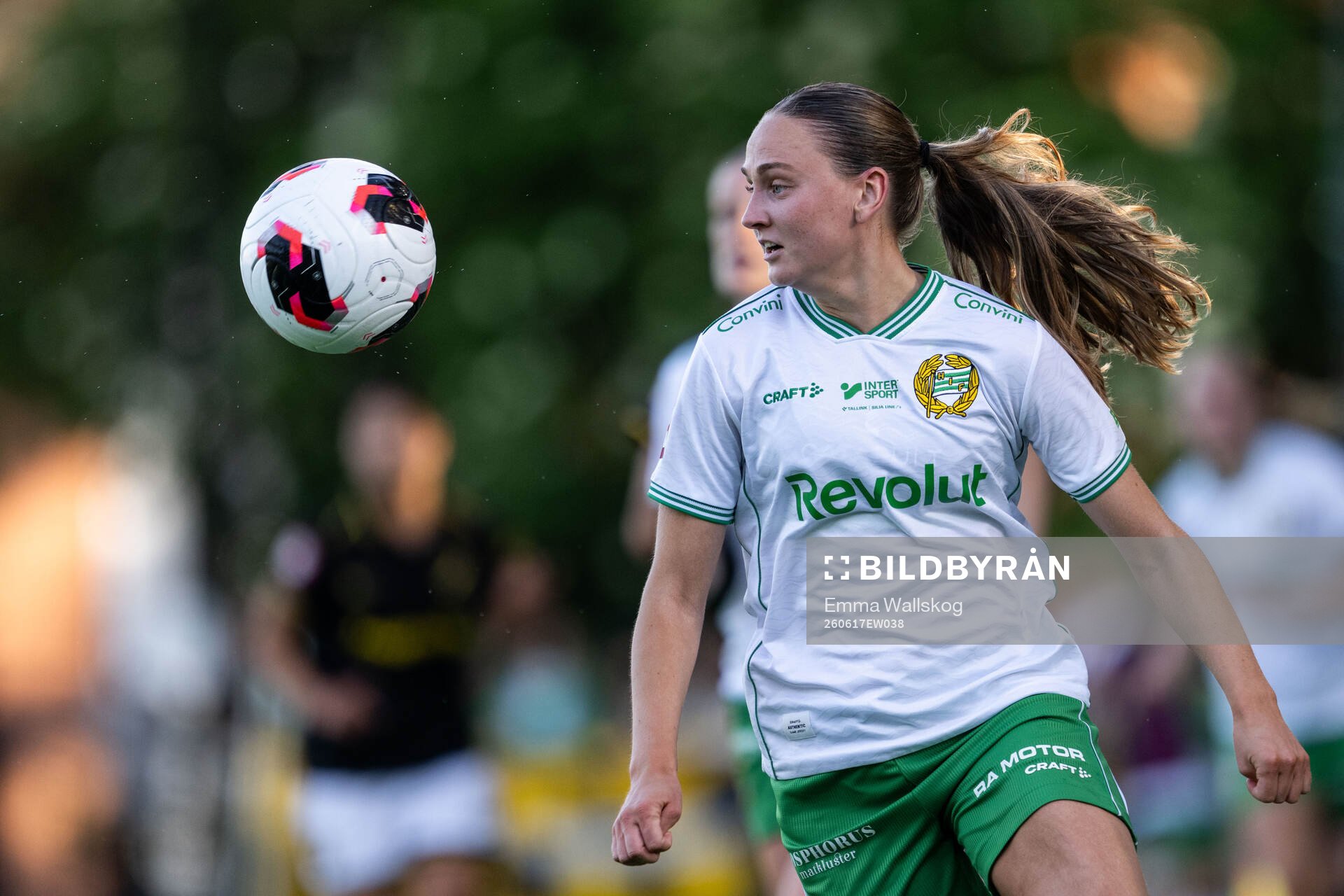 Hammarbys Vilde Hasund