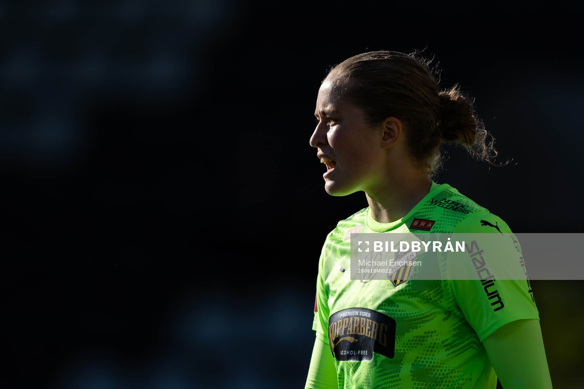 Häckens målvakt Fanney Inga Birkisdottir