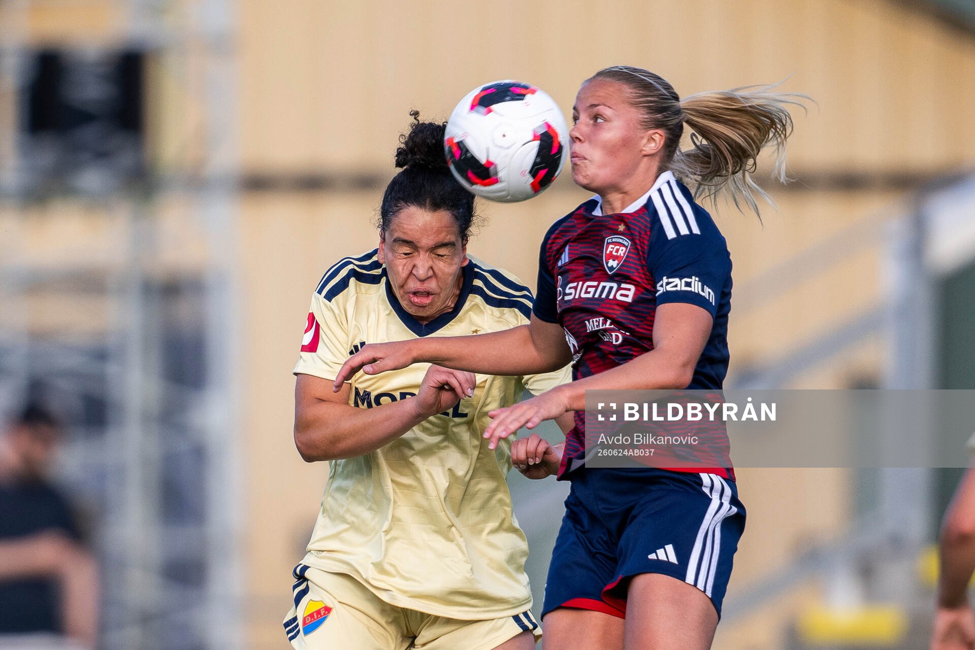 Djurgårdens Camille Ashe