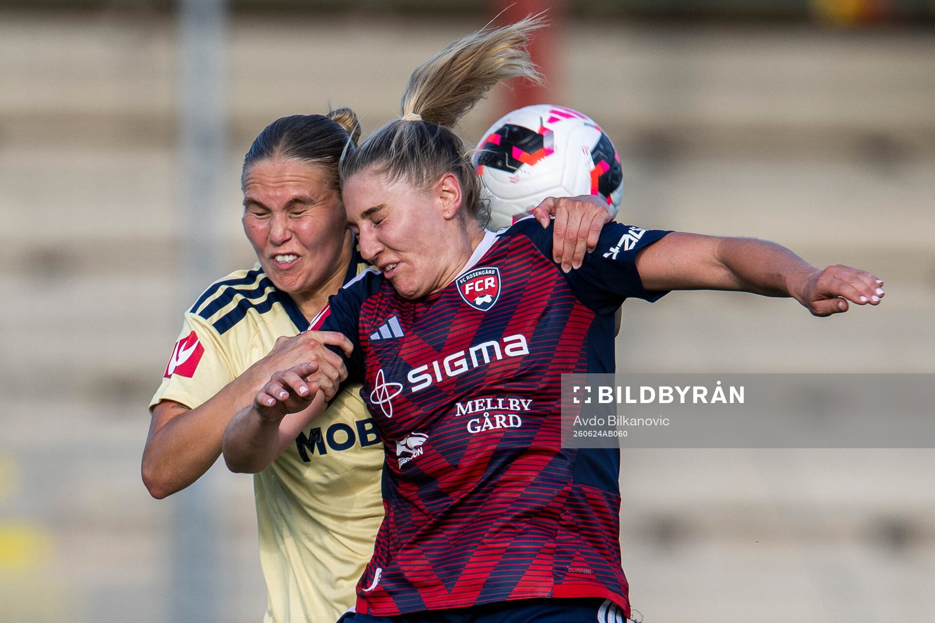 Rosengårds Remy Siemsen och Djurgårdens Nanne Ruuskanen