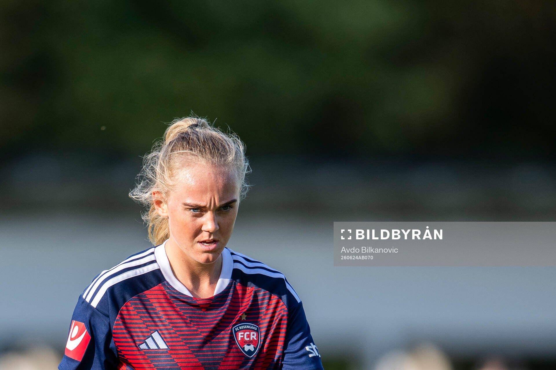 Rosengårds Molly Johansson