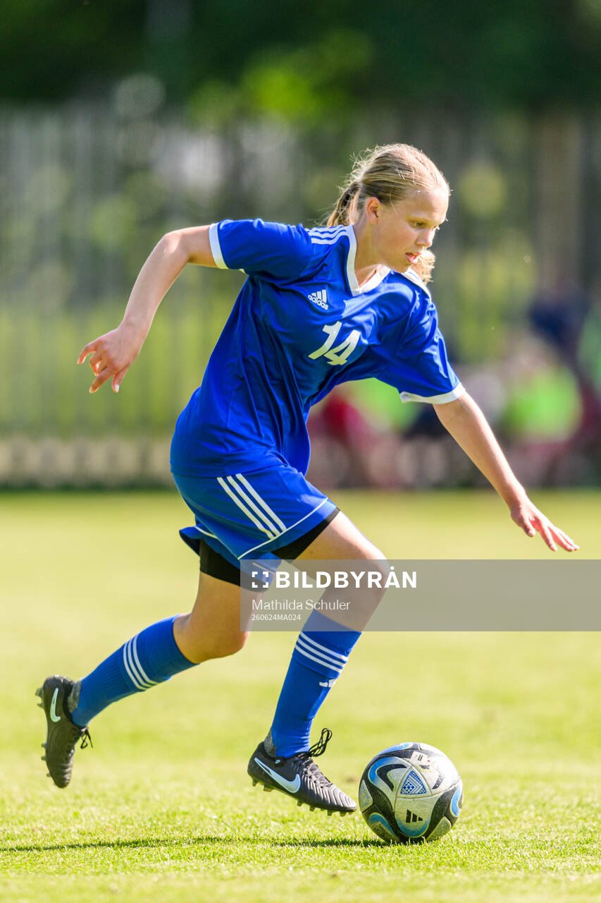 s riksläger för F11