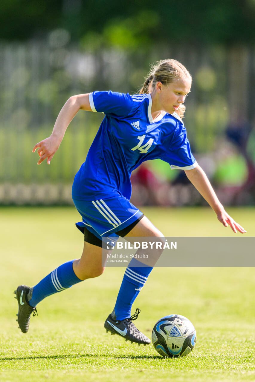 s riksläger för F11