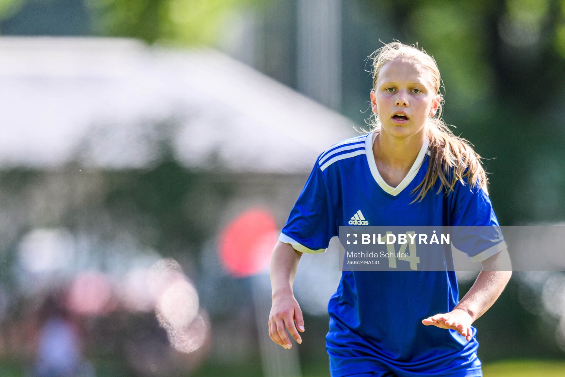 s riksläger för F11