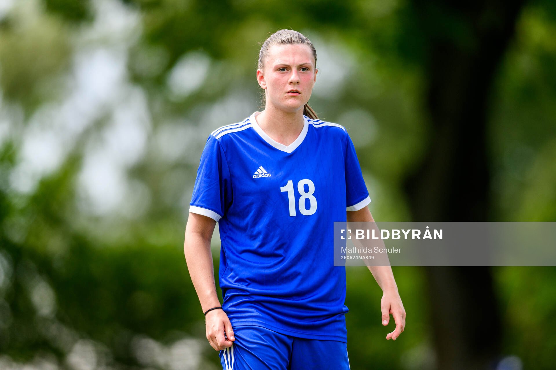 Alicia Sjöberg, FC Rosengård