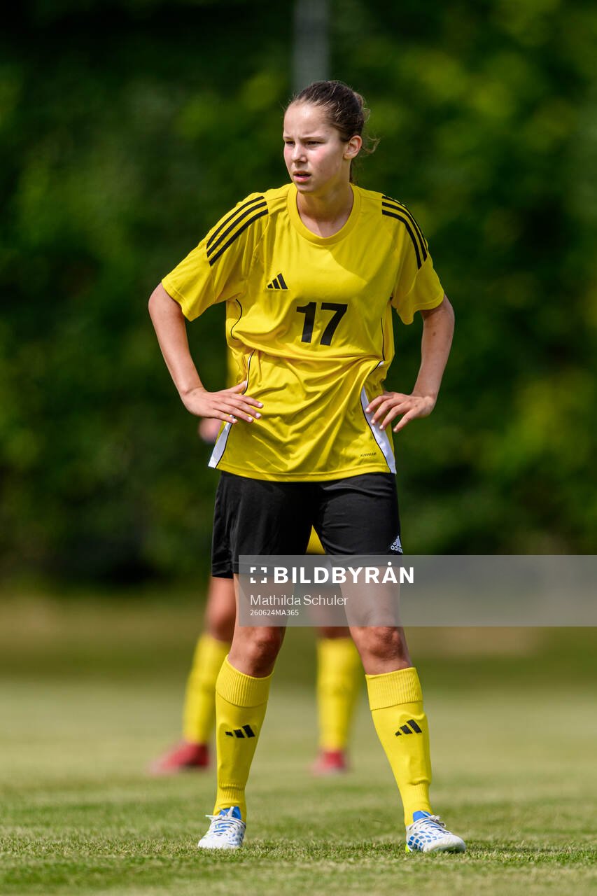 Ellen Maiquez, Hammarby IF FF