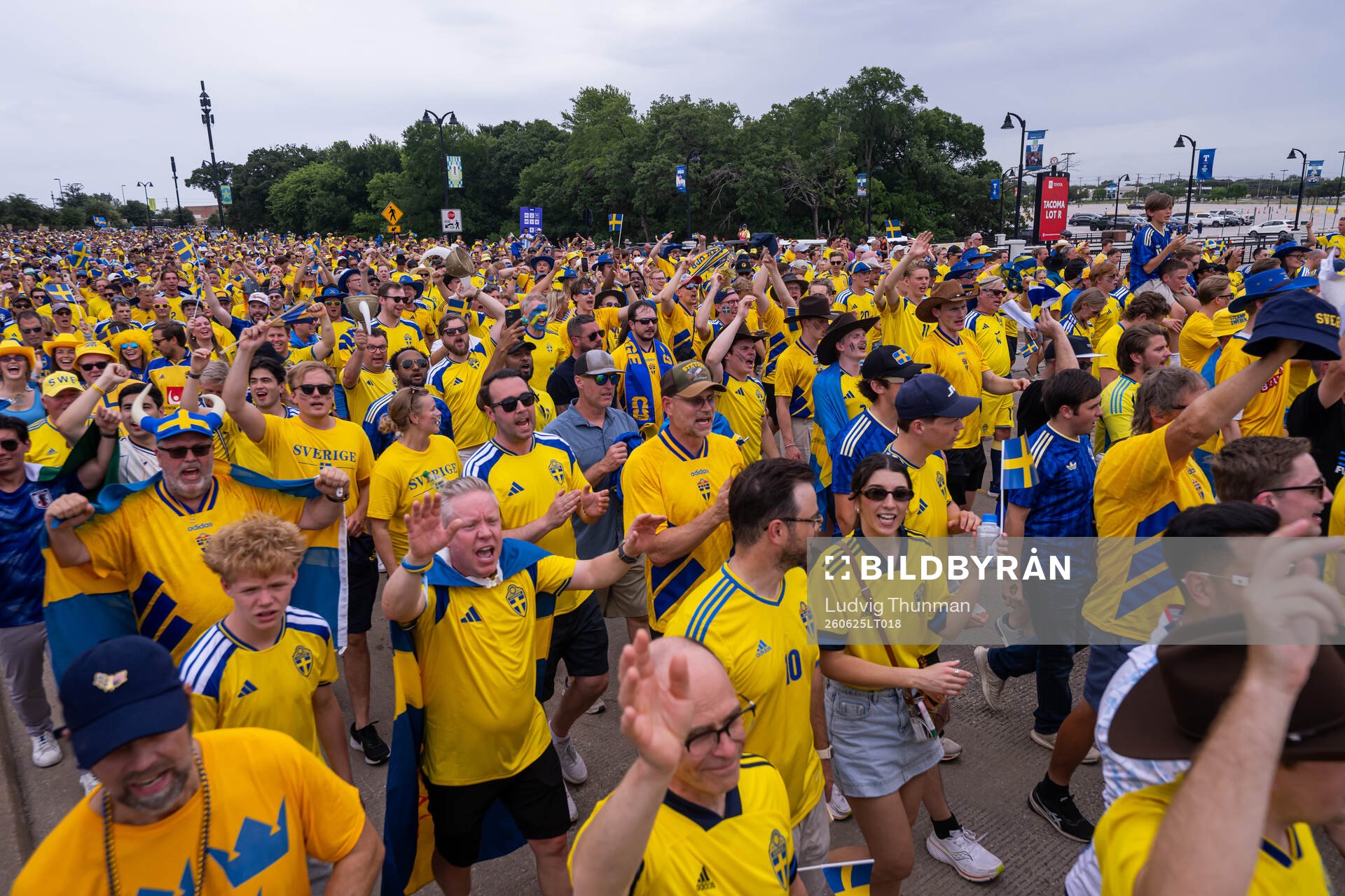 Supporters of Sweden
