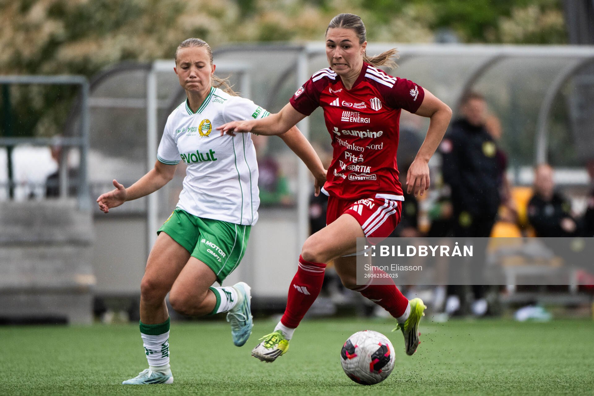 Piteås Alexandra Hellekant