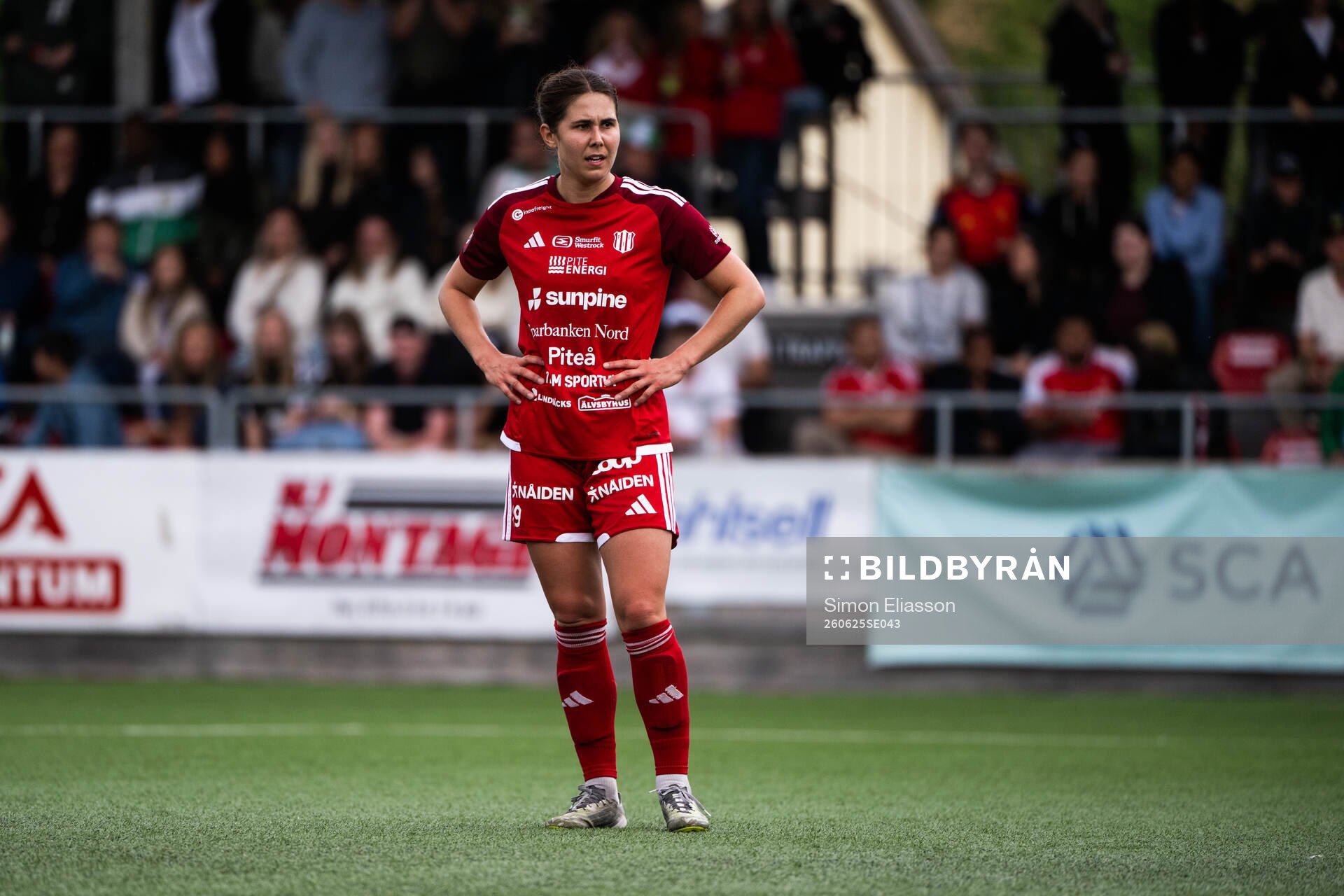 Piteås Sharon Sampson