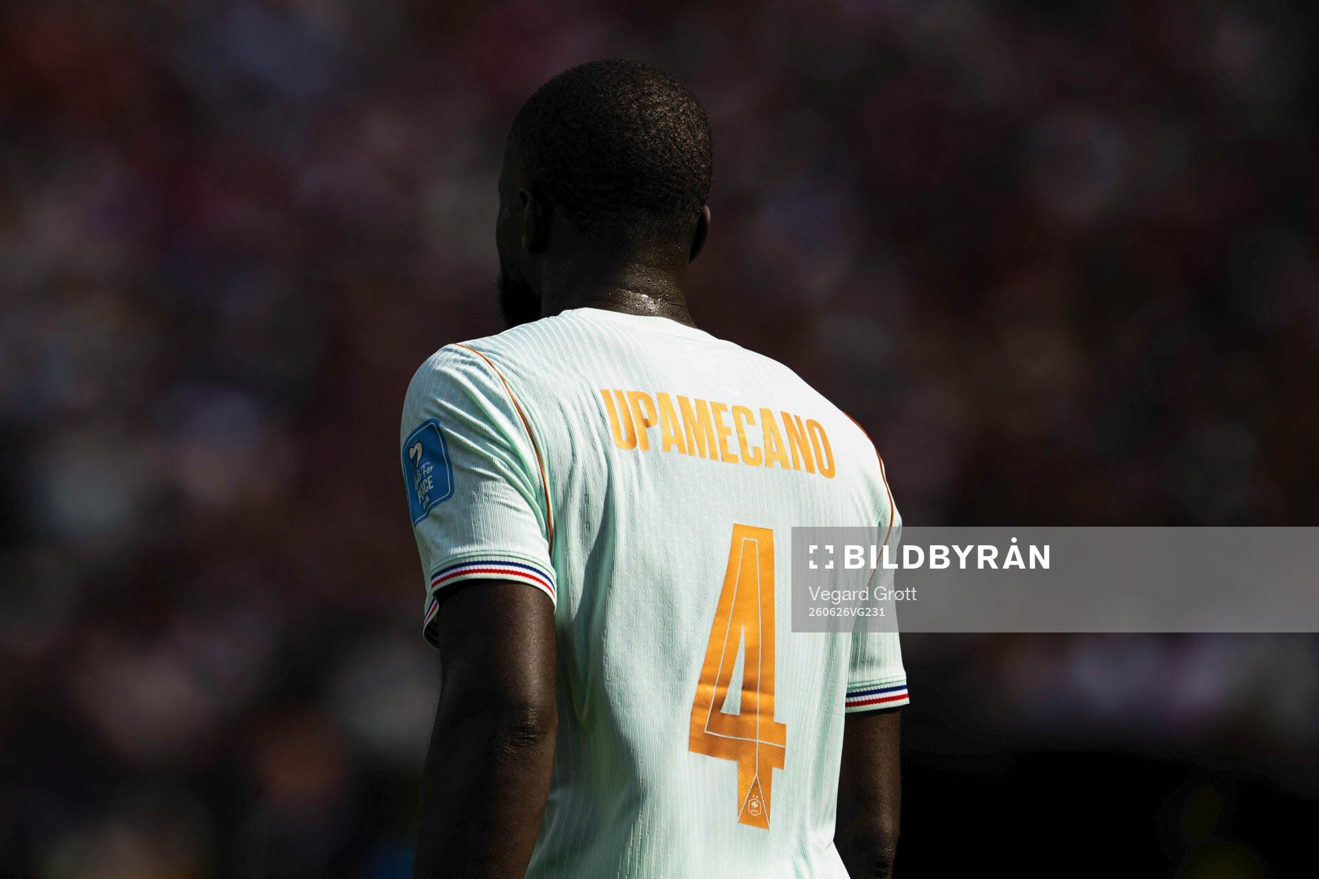 Dayot Upamecano of France