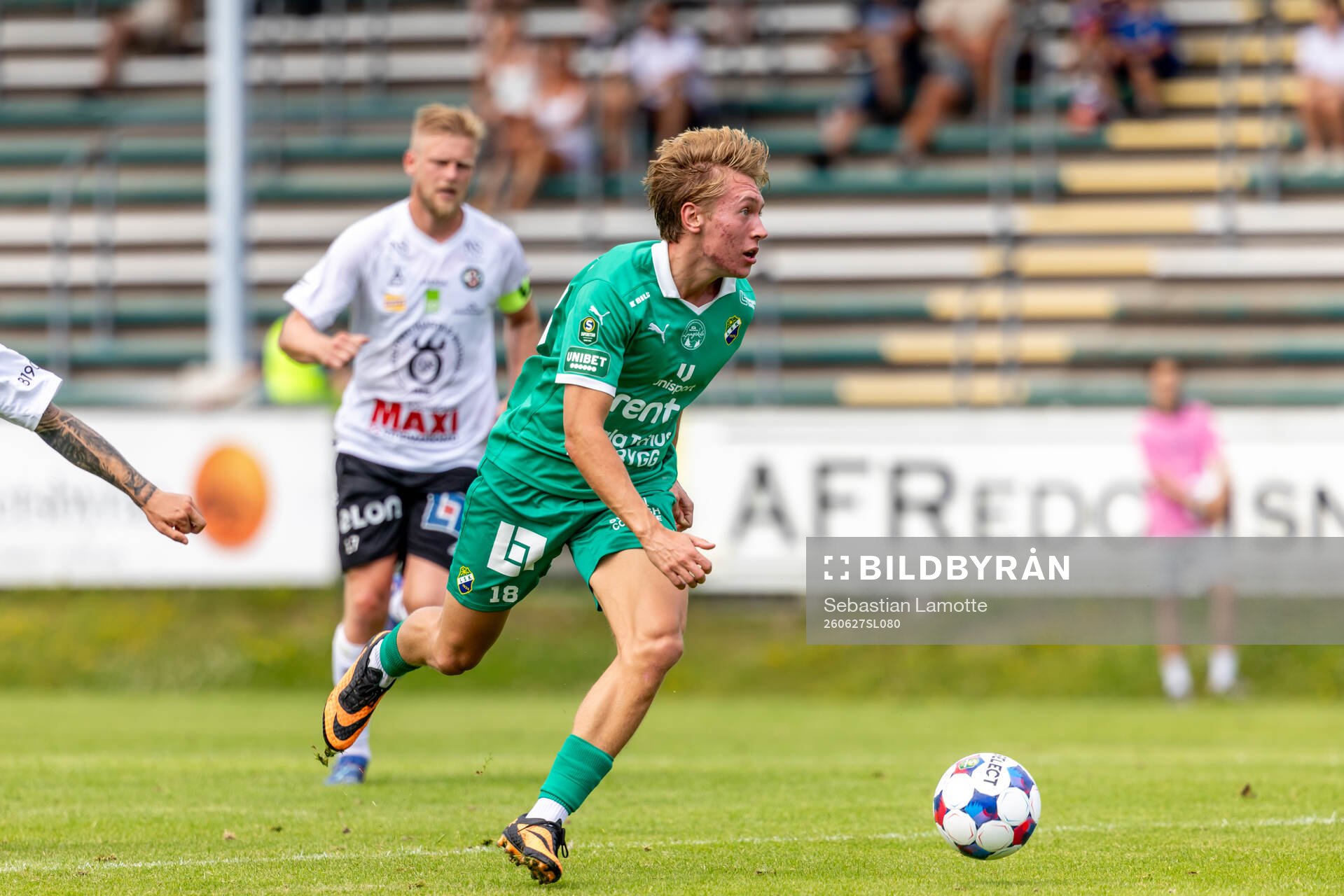 Ljungskiles Hugo Borstam