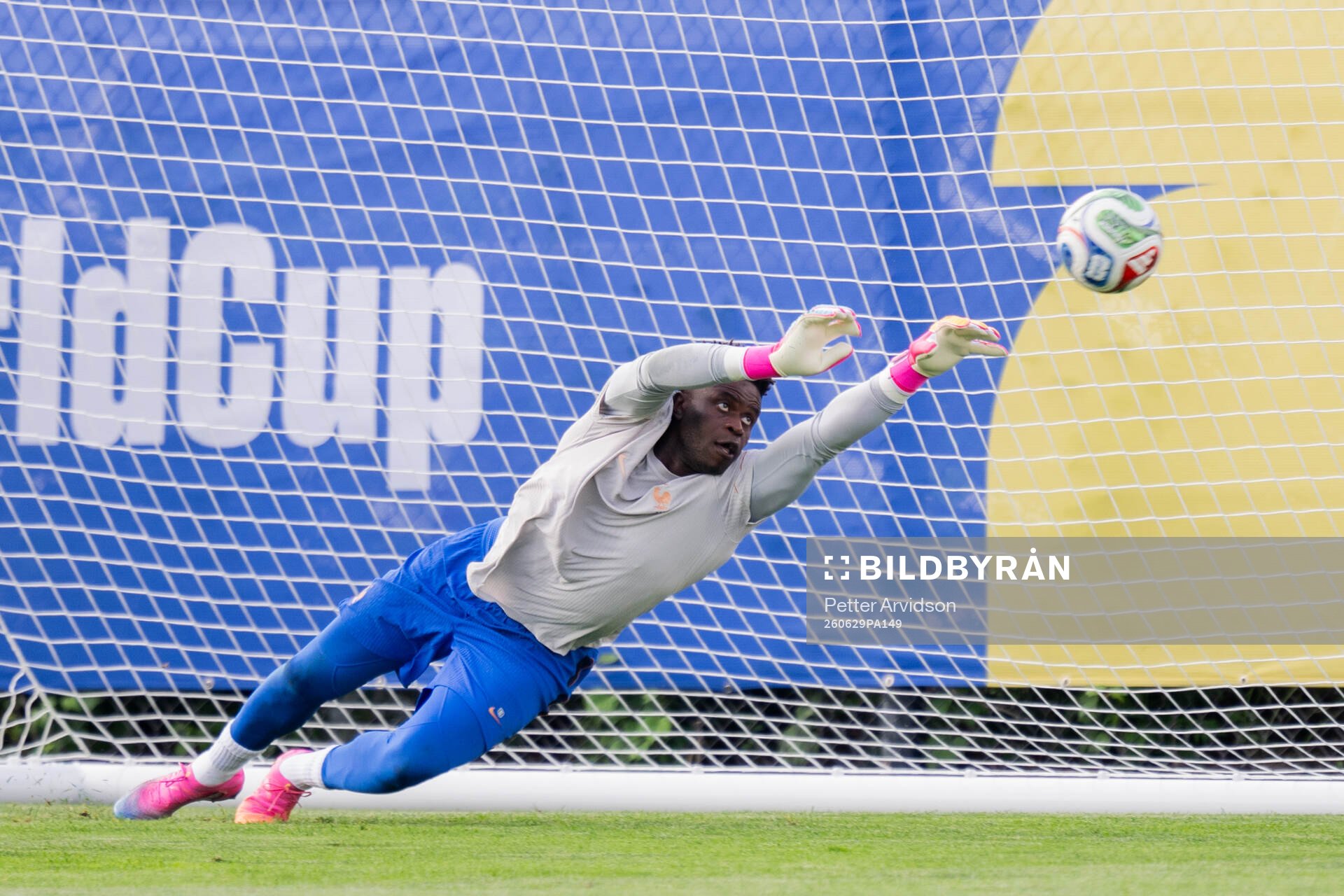 Goalkeeper Brice Samba of the French national football team
