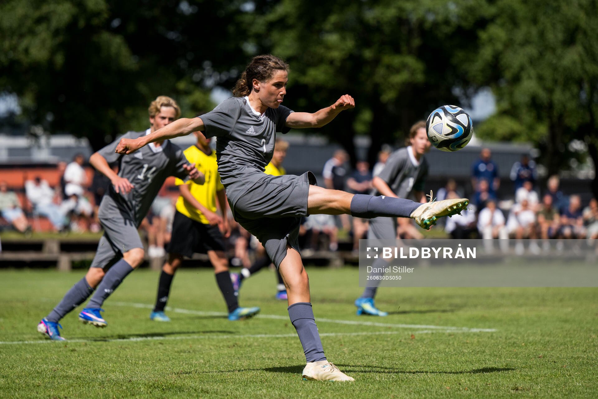 Ft1s Theo Netzell Rosendahl, Halmstads BK