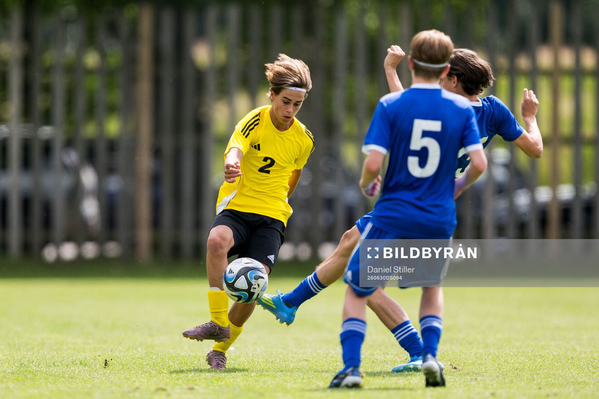 Lag1s Wilson Algebäck, IF Elfsborg