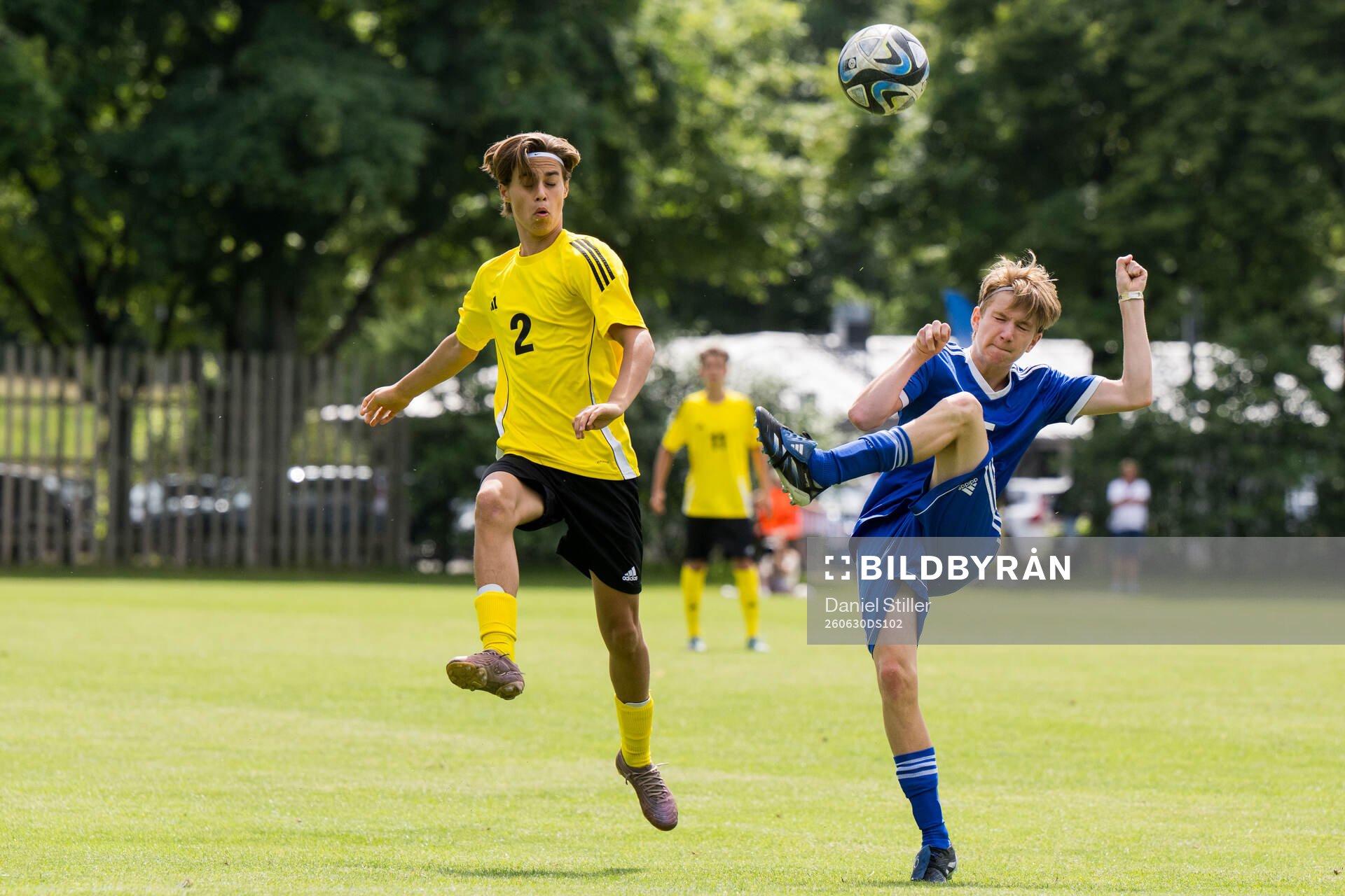 Lag1s Wilson Algebäck, IF Elfsborg och Lag2s Charley