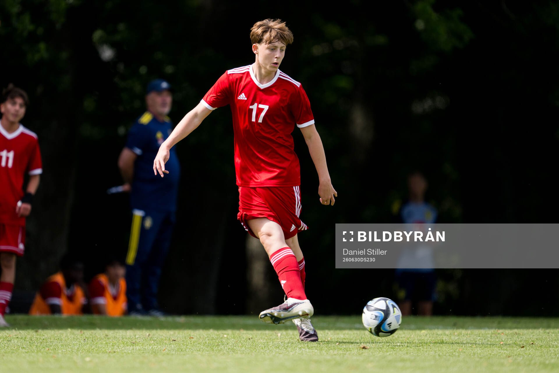 Lag3s Albert Lubera, IF Brommapojkarna
