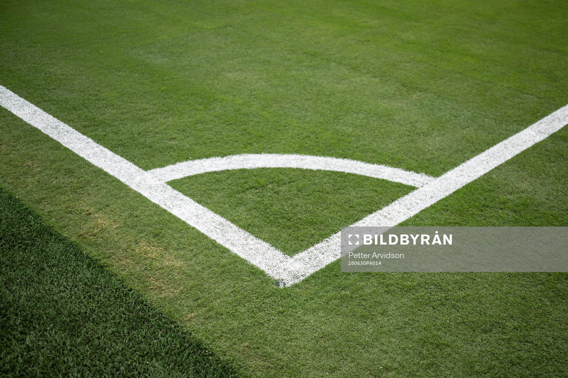 The pitch at New York New Jersey Arena